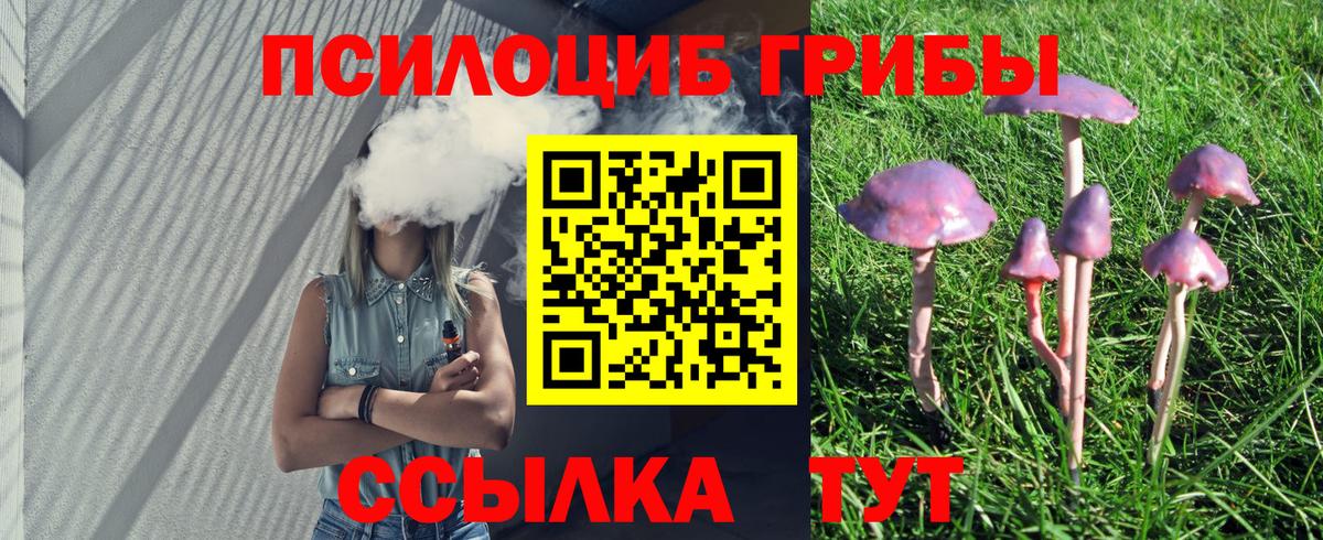 Галлюциногенные грибы Magic Shrooms  Вход с VPN  Назрань 