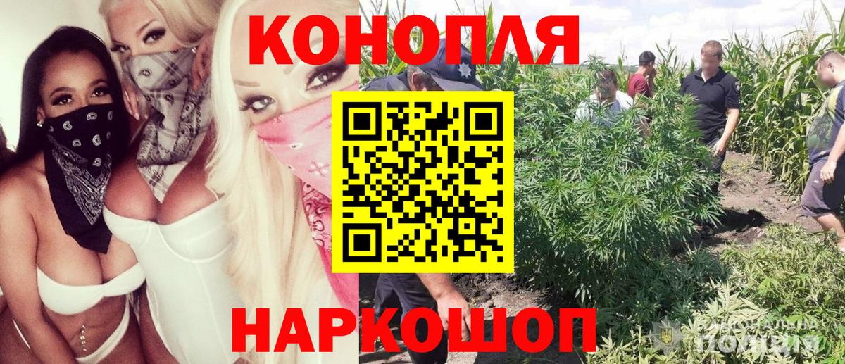 Каннабис SATIVA & INDICA Назрань